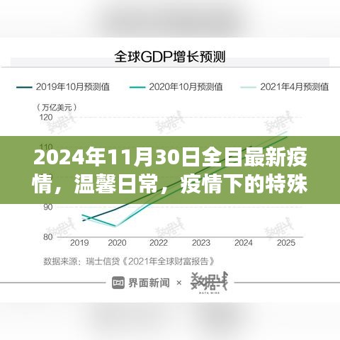 疫情下的特殊日子与家的温暖纽带，2024年11月30日全球最新疫情温馨日常