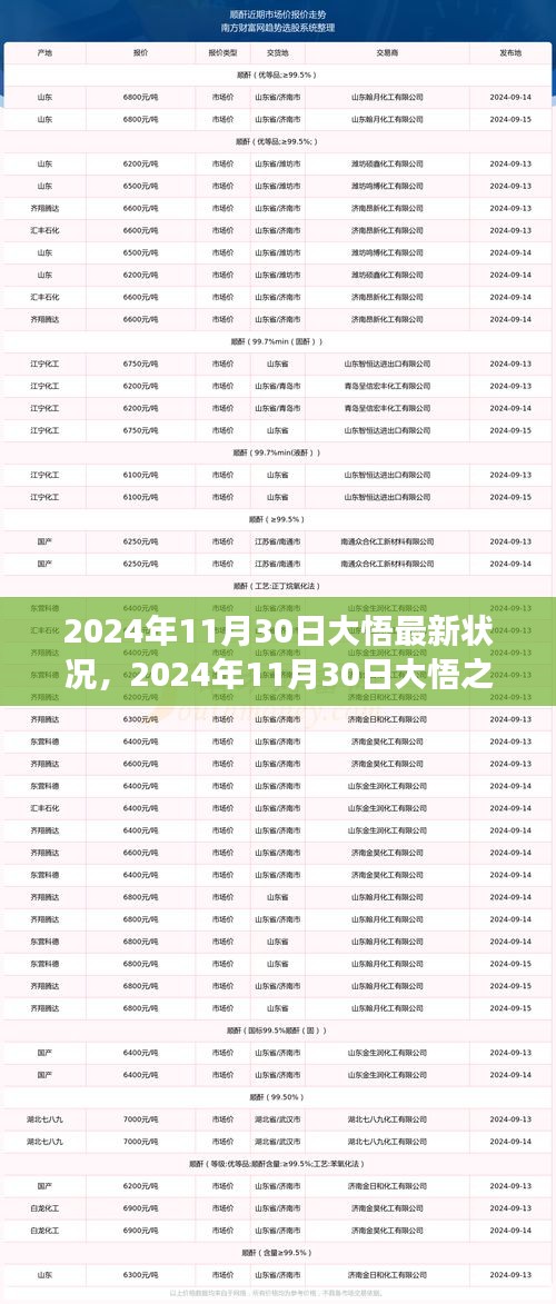 2024年11月30日大悟之旅，自然美景中的心灵觉醒与最新状况