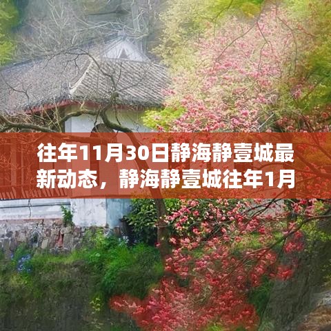 静海静壹城动态探索，入门与进阶指南，历年11月与1月最新动态回顾