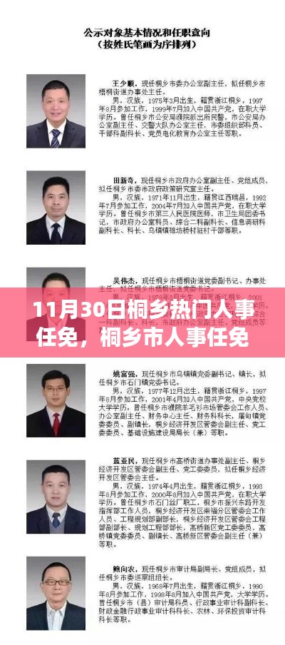 11月30日桐乡热门人事任免全解析，人事任免指南与关注方式（初学者与进阶用户必看）