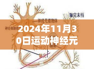 揭秘运动神经元病最新治疗方案，开启新生活篇章（2024年最新）