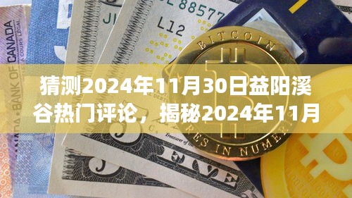 揭秘益阳溪谷热门评论背后的故事，预测与解读2024年11月30日评论热点分析