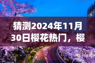 2024年赏樱之旅，心灵之旅与宁静发现的樱花盛开之时