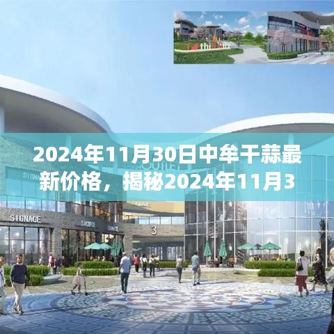 揭秘，2024年11月30日中牟干蒜最新价格及市场走势、购买指南与实用建议