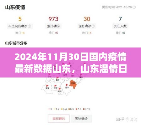 山东疫情最新动态，欢乐时光与深厚友情在温情日常中展现（2024年11月30日）