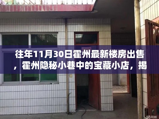 霍州隐秘小巷宝藏小店揭秘，十一月最新楼房出售独特魅力与独特体验