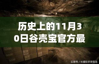 谷壳宝官方最新版下载探秘，小巷深处的惊喜之旅