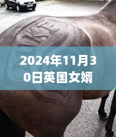 英伦美食之旅，独特饕餮与女婿热门的美食探寻之旅（2024年11月30日）