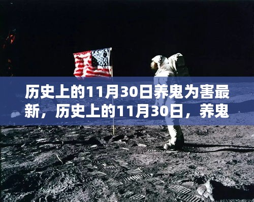 2024年11月 第5页