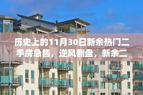 历史上的11月30日，新余二手房市场急售与逆袭的励志篇章