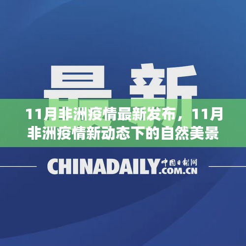 11月非洲疫情最新动态，自然美景之旅与内心平和的追寻