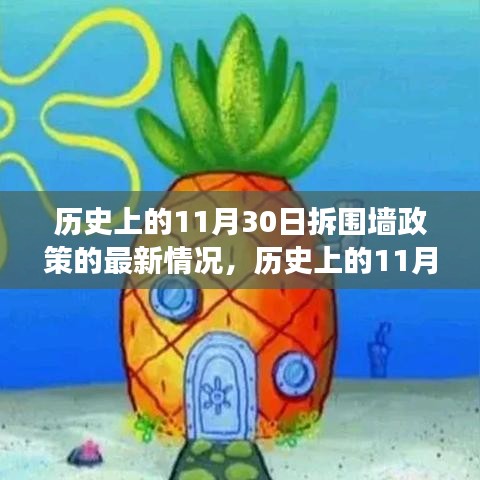 历史上的11月30日拆围墙政策最新解读，正反双方观点与深度分析