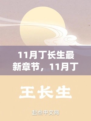 11月丁长生最新章节，深度测评与详细介绍