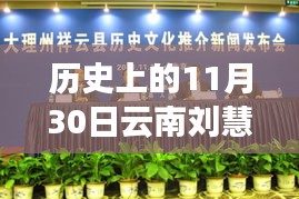 云南刘慧晏最新分工解读，历史上的11月30日与任务分配详解及学习新技能之路