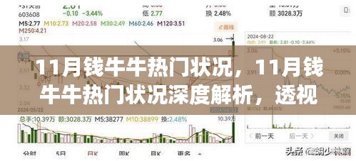 深度解析，11月钱牛牛热门状况与各方观点透视