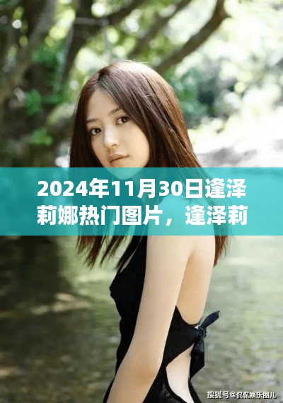 逢泽莉娜，2024年11月30日独特魅力与热门图片全面展示