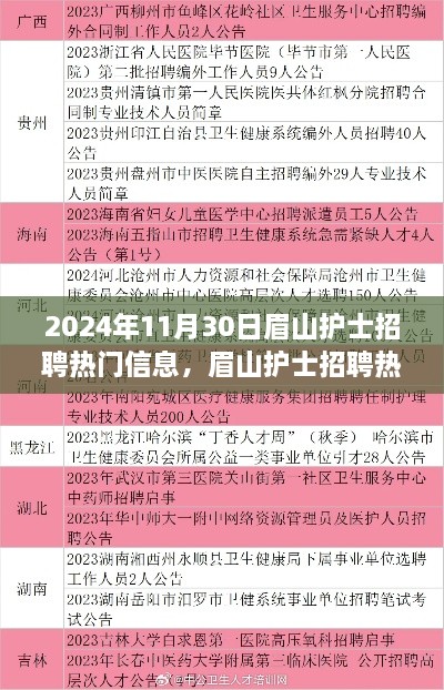 眉山护士招聘热潮解析，聚焦最新热门信息，解读眉山护士招聘趋势（2024年11月30日）