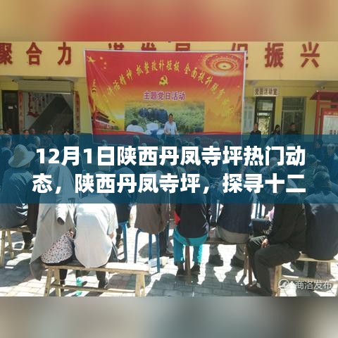 陕西丹凤寺坪十二月一日热门动态揭秘，探寻背后的故事