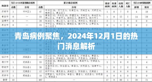 青岛病例聚焦，最新热门消息解析（2024年12月1日）