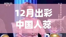 蕊蕊12月出彩背后，多元视角与个人立场的深度解读