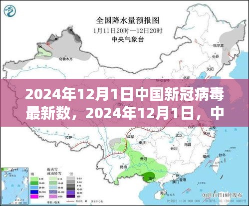 中国新冠病毒最新数据深度解析与时代影响探讨，2024年12月1日报告更新