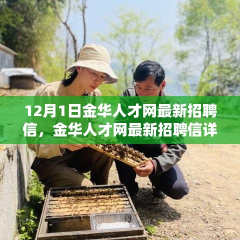 金华人才网最新招聘信详解，求职者的完全指南（12月1日更新）