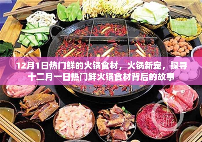 12月1日热门鲜的火锅食材，火锅新宠，探寻十二月一日热门鲜火锅食材背后的故事