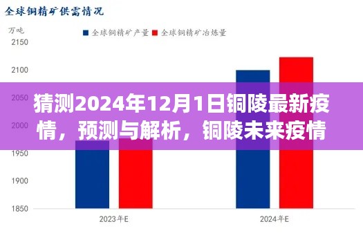 2024年12月1日 第8页