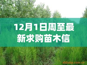 周至地区最新苗木求购信息及市场动态分析（12月1日）