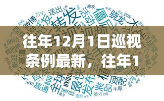 深度解读与案例分析，往年12月1日巡视条例最新动态及其实践应用