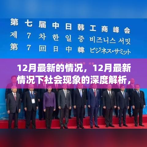 12月最新社会现象深度解析，观点阐述与立场表达