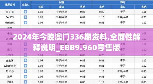 2024年今晚澳门336期资料,全面性解释说明_EBB9.960零售版