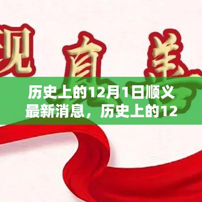 历史上的12月1日顺义最新消息概览与概览