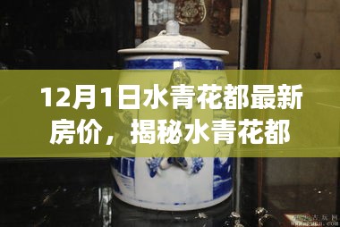 揭秘水青花都最新房价动态与深度解读（十二月初篇）