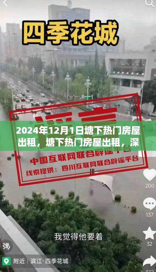 塘下热门房屋出租深度测评与介绍，最新房源一览（2024年）