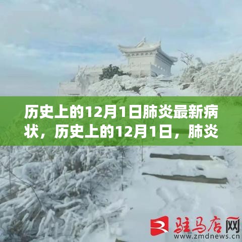 历史上的肺炎阴霾，探寻自然奇景之旅与内心的宁静绿洲的启示