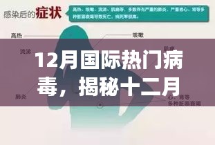 揭秘十二月国际热门病毒现象，小红书带你洞悉最新动态！