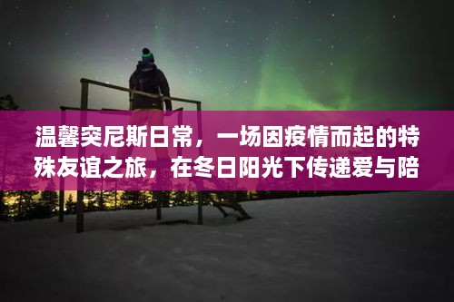 温馨突尼斯之旅，疫情中的特殊友谊与冬日阳光下的爱与陪伴