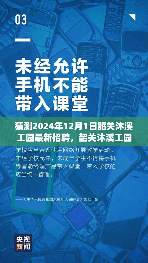 韶关沐溪工园最新招聘探秘，与自然共舞，寻找宁静之旅的岗位启程（2024年）