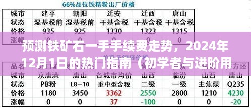 铁矿石一手手续费走势预测，初学者与进阶用户指南（至2024年12月1日）