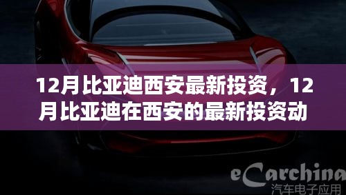 深度解析，比亚迪在西安的十二月最新投资动态与案例探究