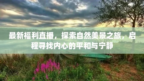 最新福利直播，自然美景之旅，探寻内心的平和宁静之旅