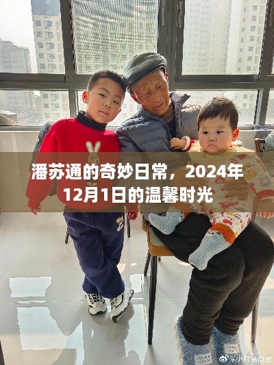 潘苏通2024年12月1日的温馨日常奇妙之旅