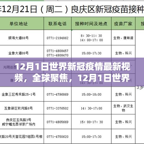 全球聚焦，12月1日世界新冠疫情最新动态视频解析及报道