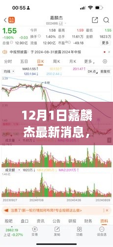 嘉麟杰最新动态解析与观点阐述（12月1日）