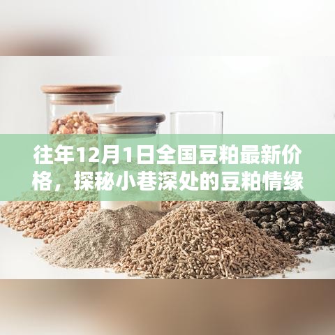 揭秘豆粕情缘，全国最新豆粕价格深度解析（最新日期，12月1日）