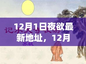 12月1日心灵宁静夜旅，最新地址探寻奇妙之旅