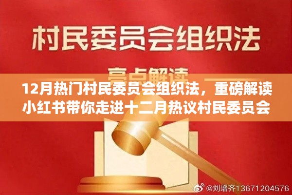 重磅解读，十二月村民委员会组织法新修订内容深度解析与热议指南（小红书版）