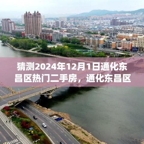 通化东昌区热门二手房市场趋势展望，预测至2024年12月