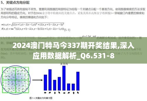 2024澳门特马今337期开奖结果,深入应用数据解析_Q6.531-8